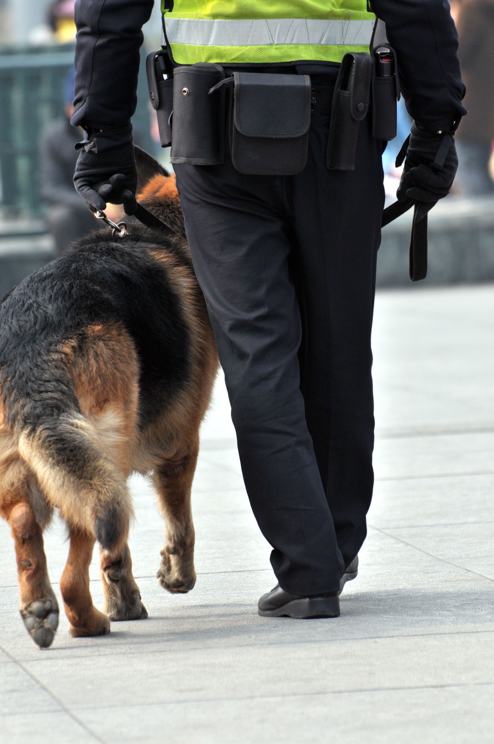 Chinese police