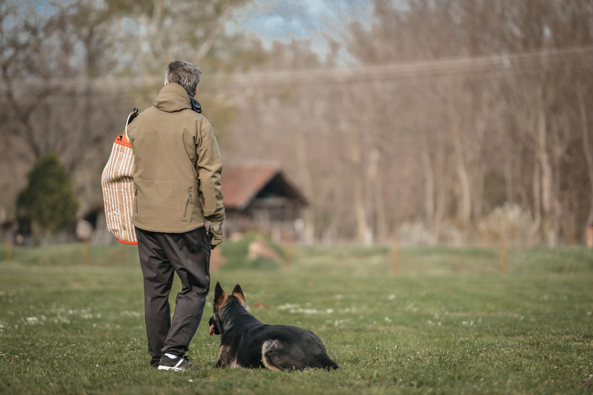 Adiestramiento de perro pastor alemán